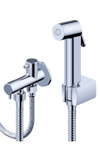 ducha inodoro higienico eco para sustituir al bide